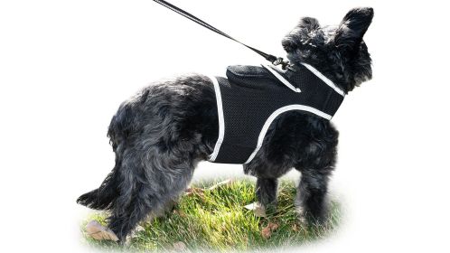 Easy to Use Waterproof Realtime GSM Dog Tracking GPS Location Tracker Size:M