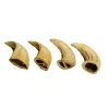 Water Buffalo Horn - Pet Haven