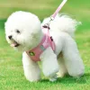 Pet Harness, Reflective - Oh My God