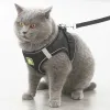 Pet Harness, Reflective - Oh My God